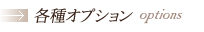 各種オプション