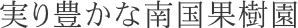 実り豊かな南国果樹園