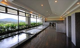 Spa Baths and Saunas Photo