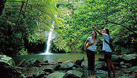Nature Excursions