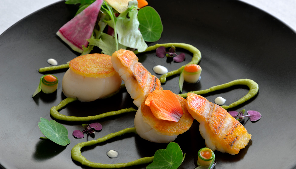 Plate of Fine Dining: fish
