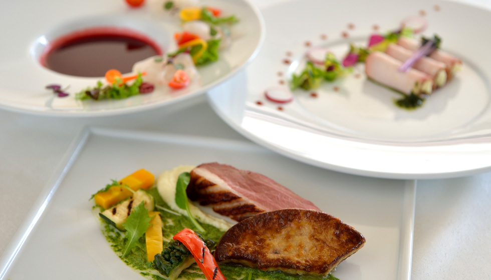 Plate of Fine Dining