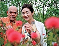 散策に話題を供する花々