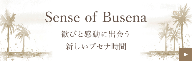 Sense of Busena