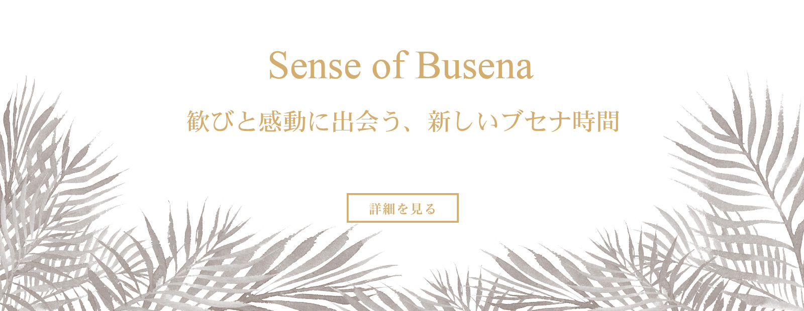 Sense of Busena