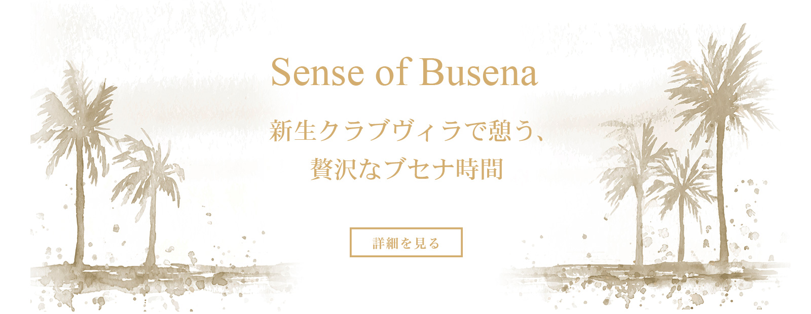 Sense of Busena