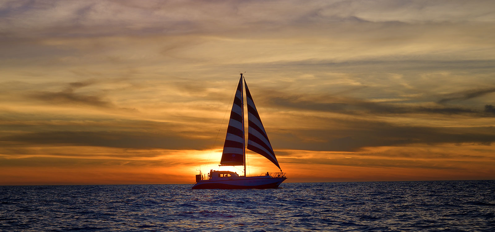 cruises image 2
