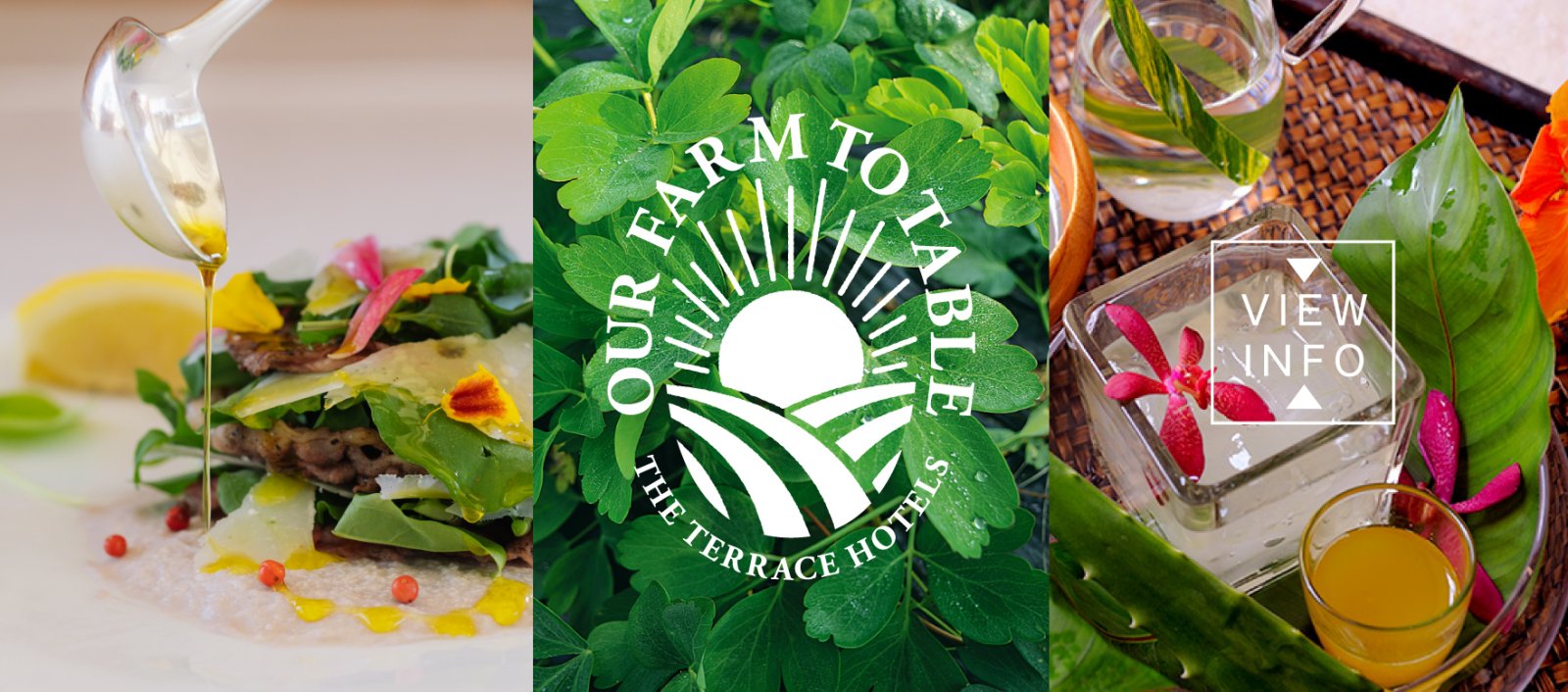 Our Farm To Table