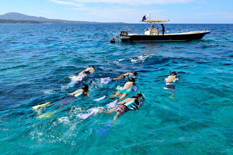 boat and people enjoying snorkeling