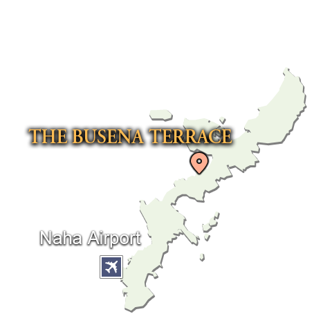 Small Map
