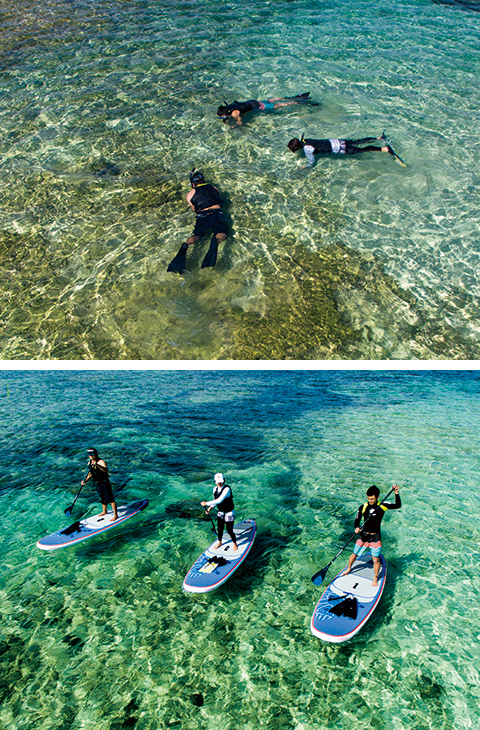 people enjoying snorkeling and SUP