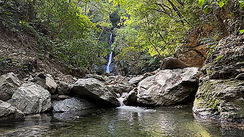 【4月21日～6月30日開催】River Stroll ～やんばるの自然の秘境うでぃんだ～ img