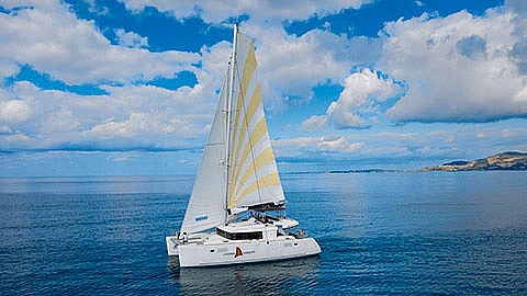 New Year’s Cruise – January 1, 2026 img