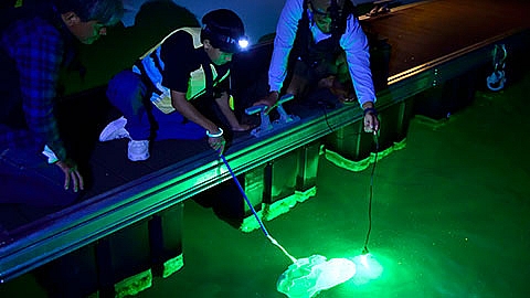 【7/18～8/15】海をまなぶナイトツアー img