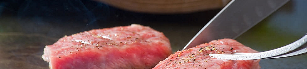 鉄板焼レストラン「龍潭」